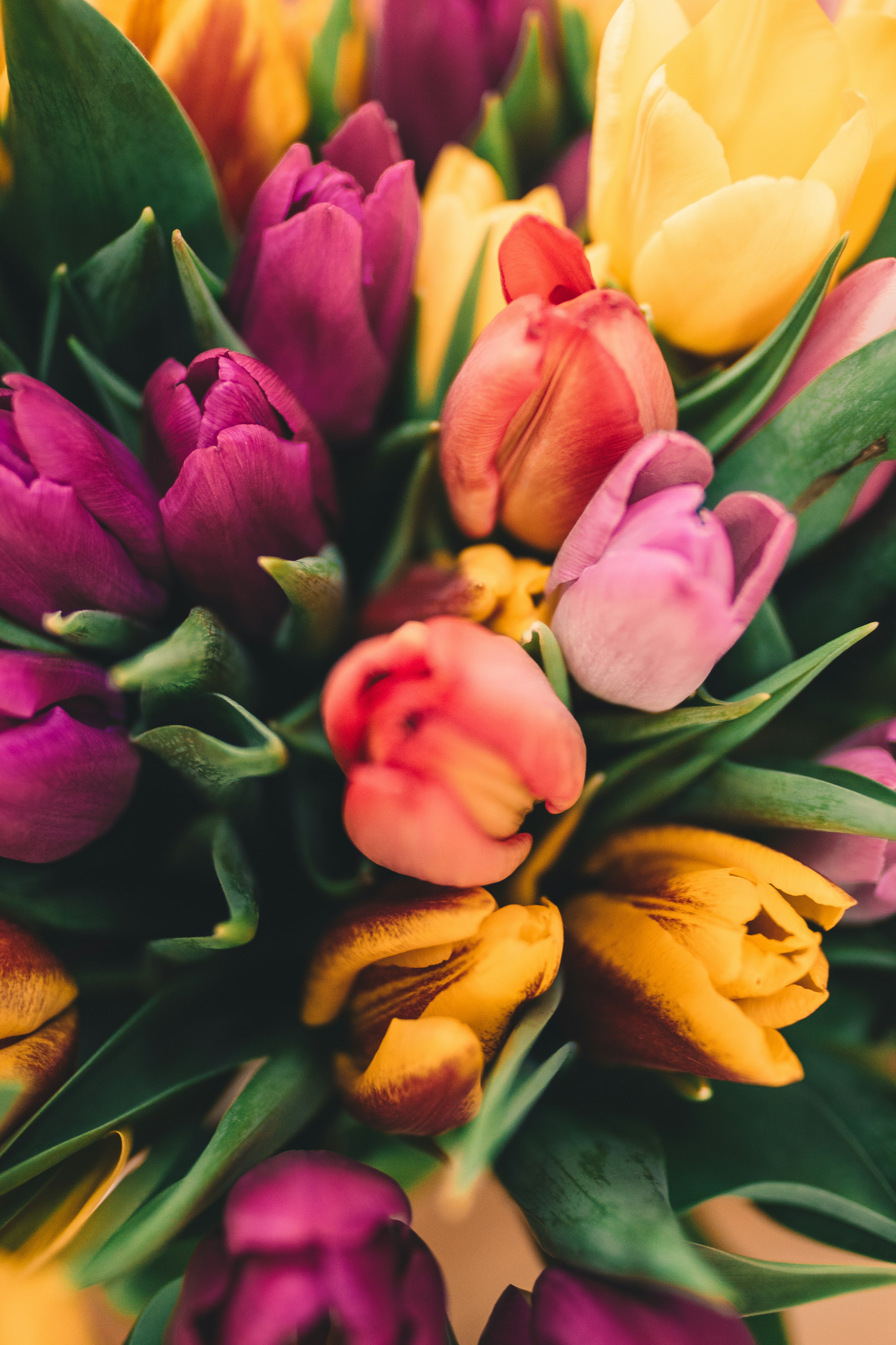 How to Celebrate Ostara in 2024: Simple Ways to Welcome Spring
