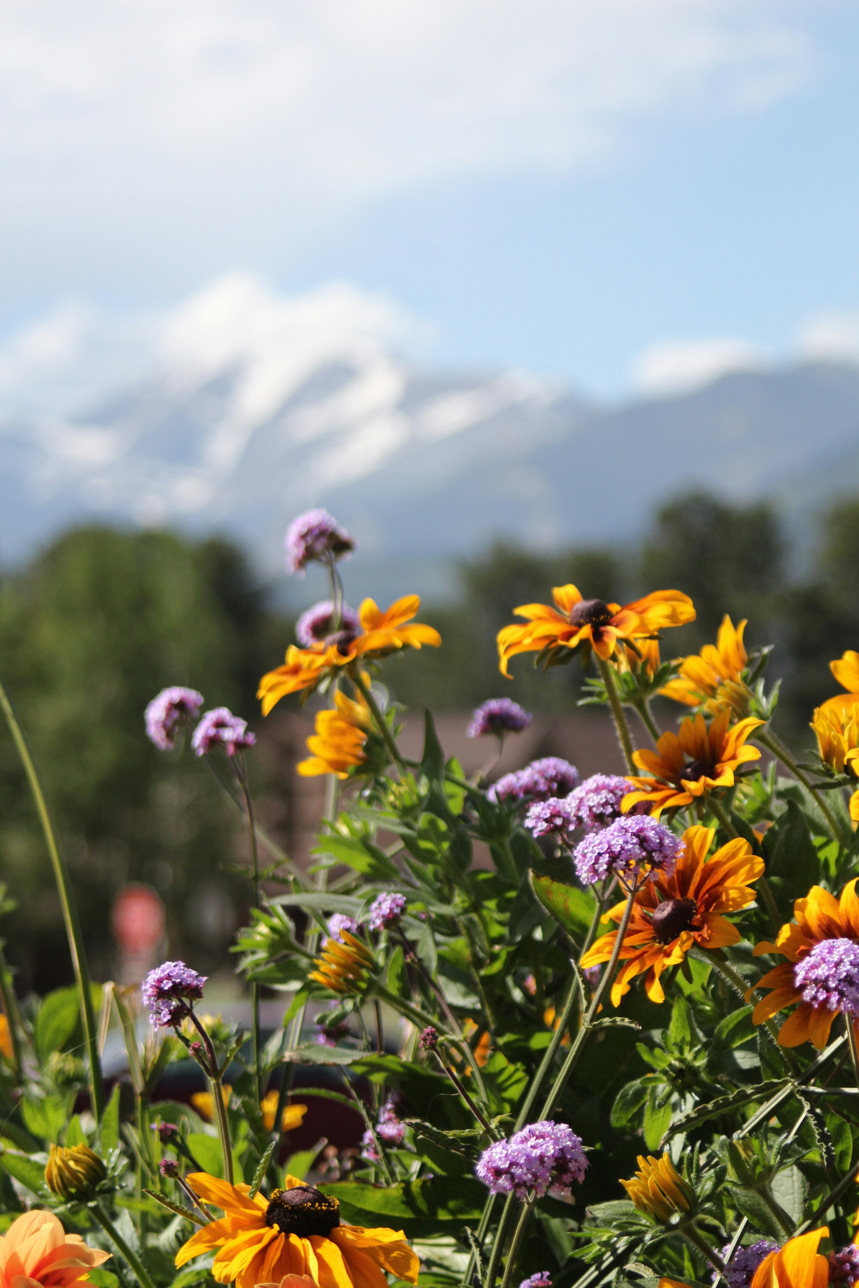 How to Celebrate Beltane in 2024: Welcoming in the Warmer Months