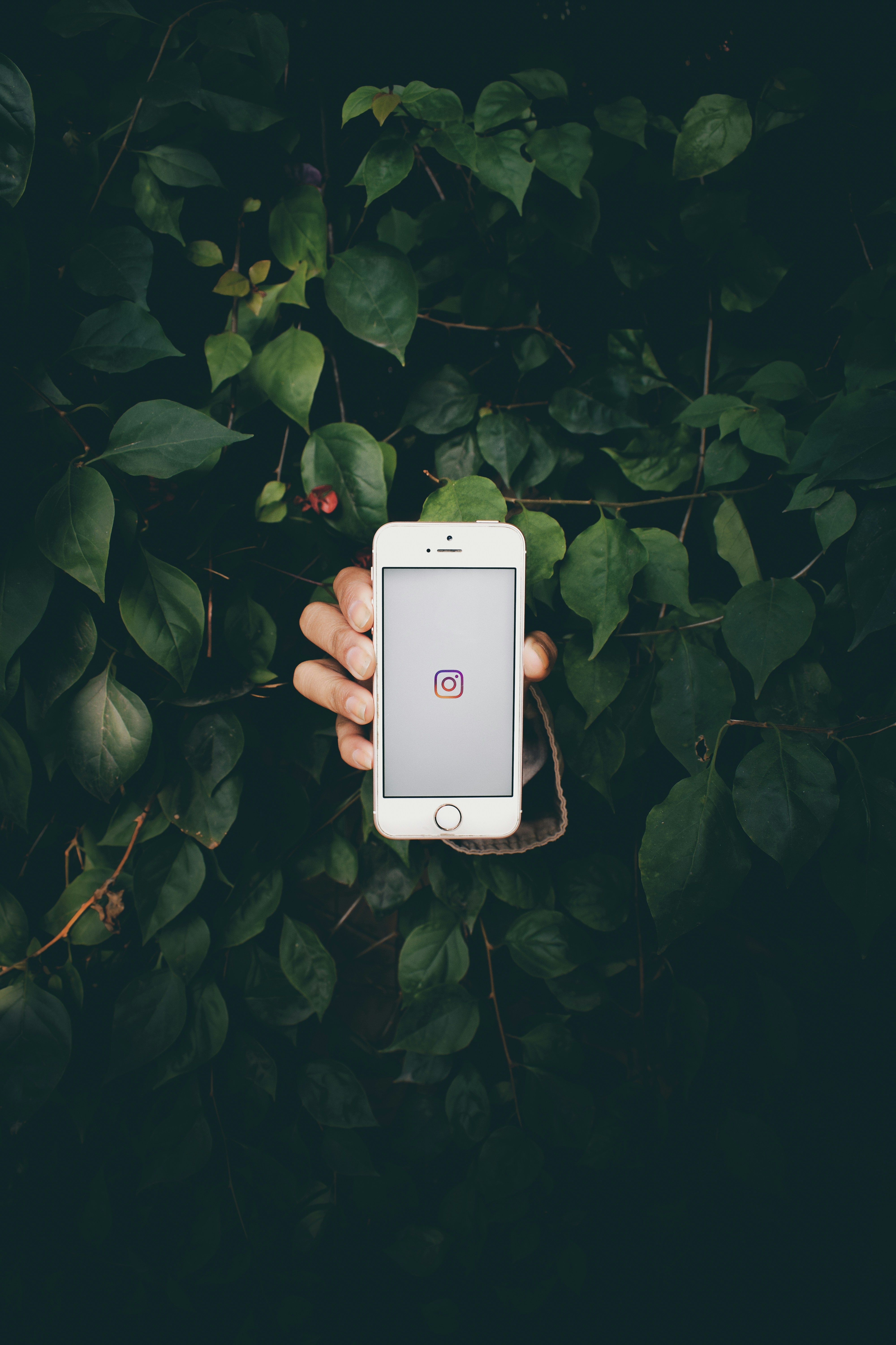 Breaking up with Instagram: a long-overdue social media break