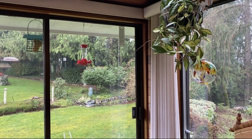 Physical gardening records & the first signs of spring