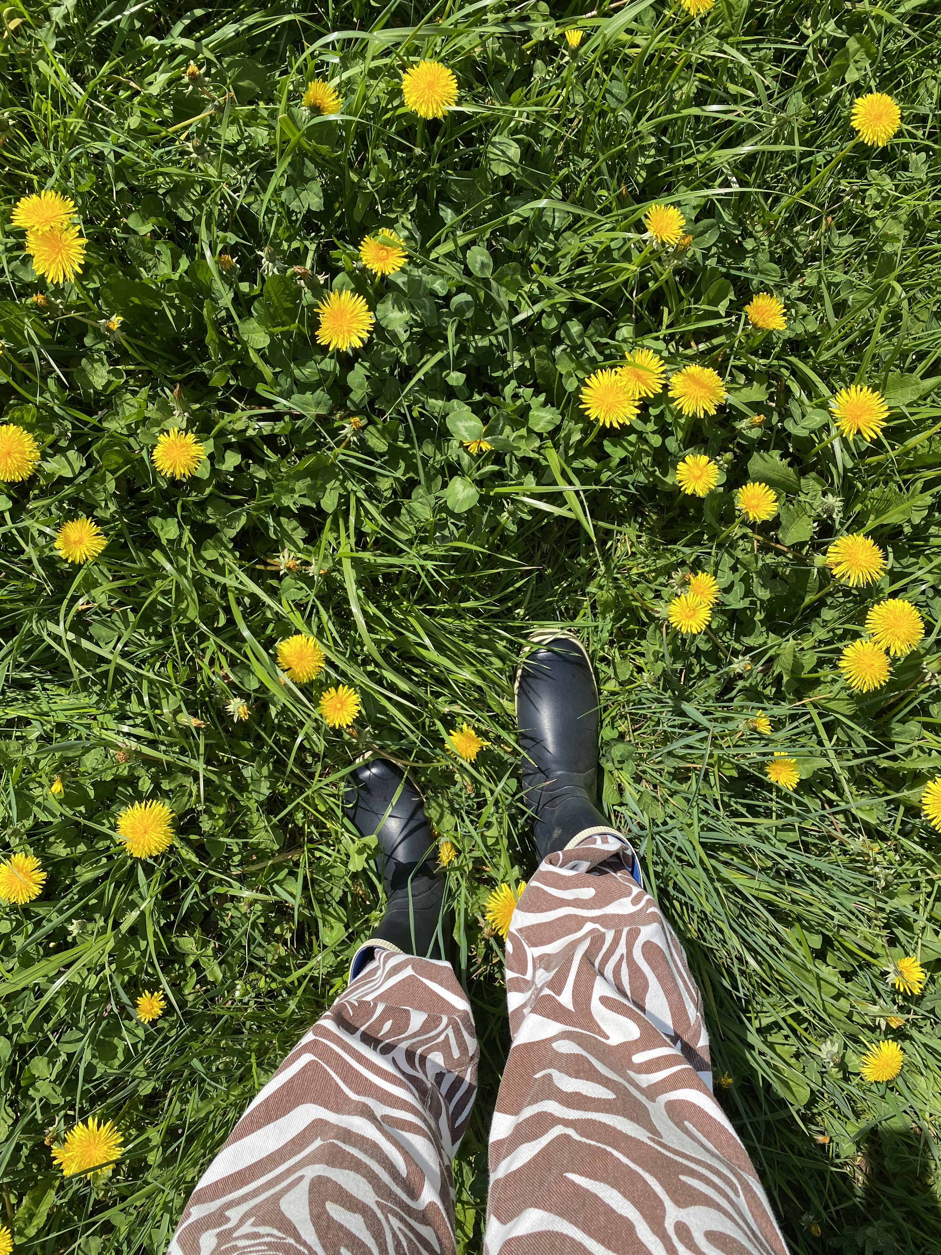 Welcoming Beltane with sparkling wine and garden picnics