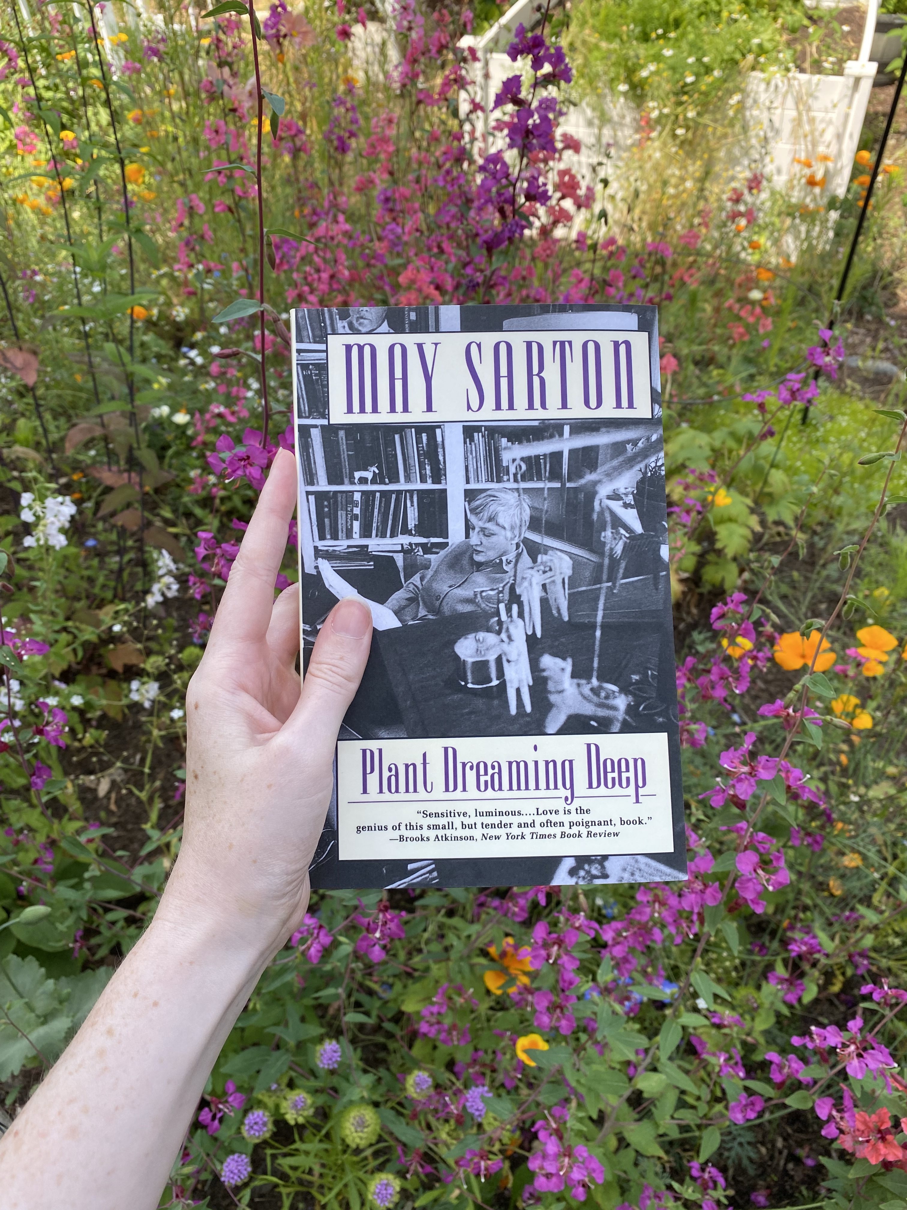 Solitude and gardens, notes from a friend